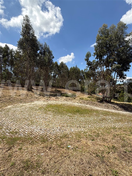Terreno para Construção  Paredes, Baltar - 1472747 - 9