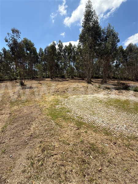 Terreno para Construção  Paredes, Baltar - 1472747 - 10
