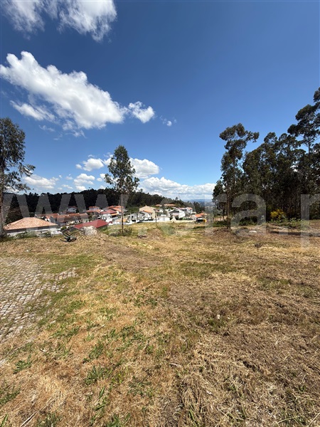 Terreno para Construção  Paredes, Baltar - 1472747 - 19