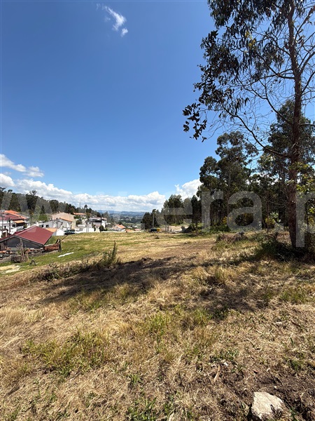 Terreno para Construção  Paredes, Baltar - 1472748 - 5