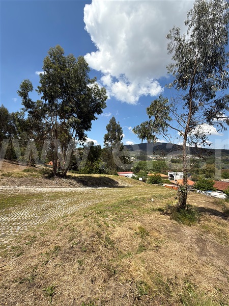 Terreno para Construção  Paredes, Baltar - 1472748 - 7