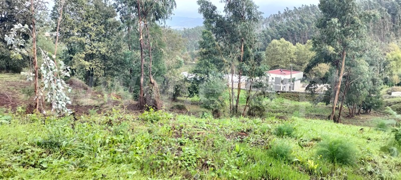 Terreno para Construção  Paredes, Cristelo - 1234482 - 3