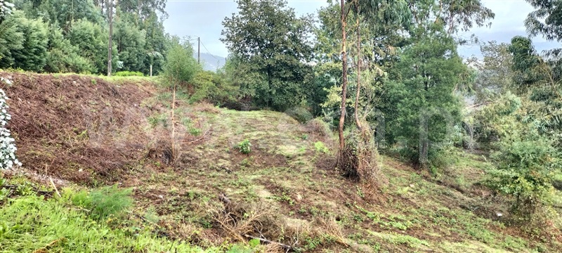 Terreno para Construção  Paredes, Cristelo - 1234482 - 5