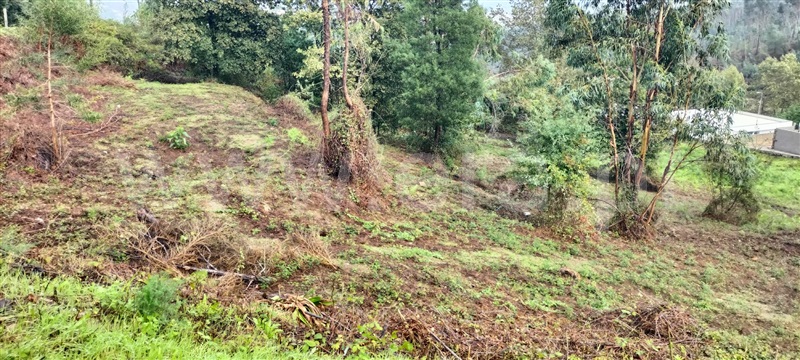 Terreno para Construção  Paredes, Cristelo - 1234482 - 7