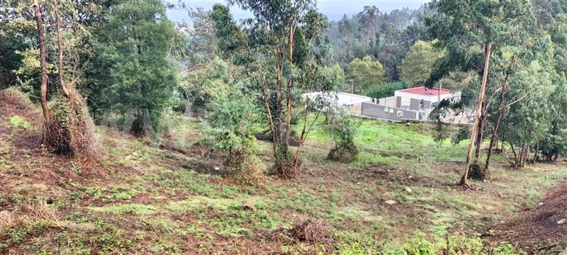 Terreno para Construção  Paredes, Cristelo - 1234482 - 8