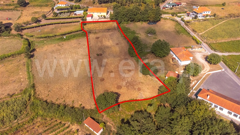 Terreno para Construção  Paredes de Coura, Cossourado e Linhares - 1329219 - 7