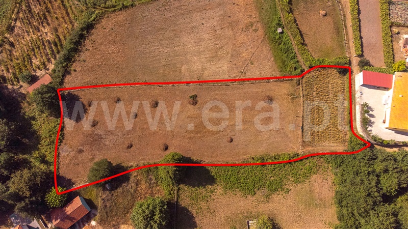 Terreno para Construção  Paredes de Coura, Cossourado e Linhares - 1329219 - 12