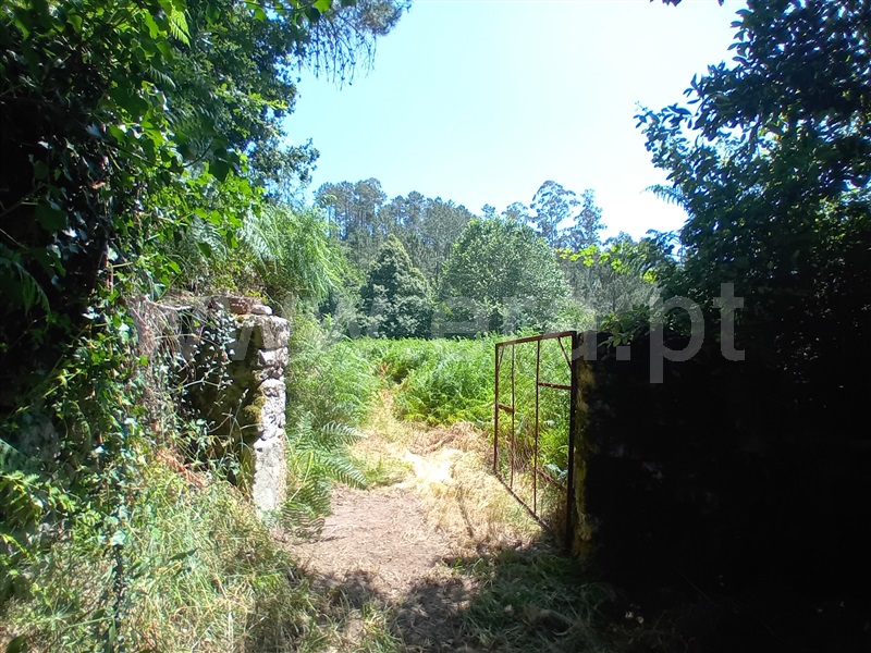 Terreno para Construção / Paredes de Coura, Cossourado e Linhares