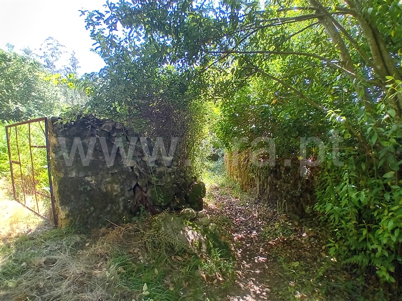Terreno para Construção  Paredes de Coura, Cossourado e Linhares - 1474085 - 2