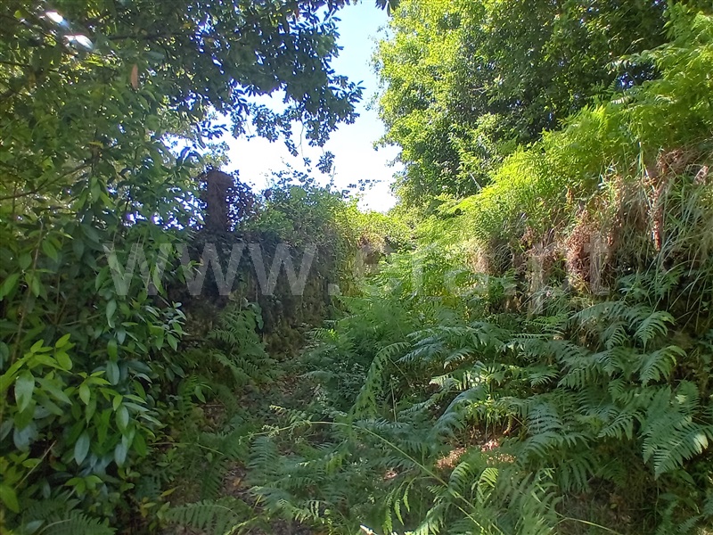 Terreno para Construção  Paredes de Coura, Cossourado e Linhares - 1474085 - 3