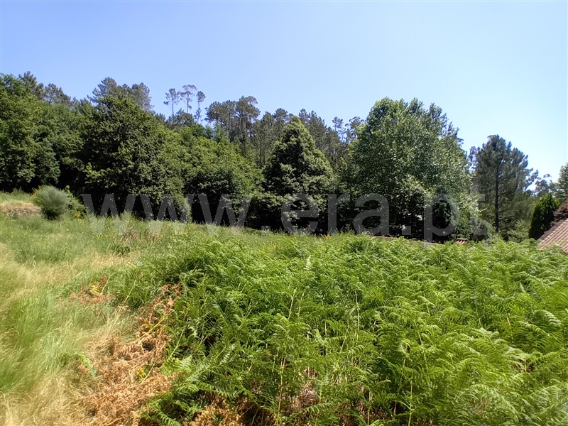 Terreno para Construção  Paredes de Coura, Cossourado e Linhares - 1474085 - 4
