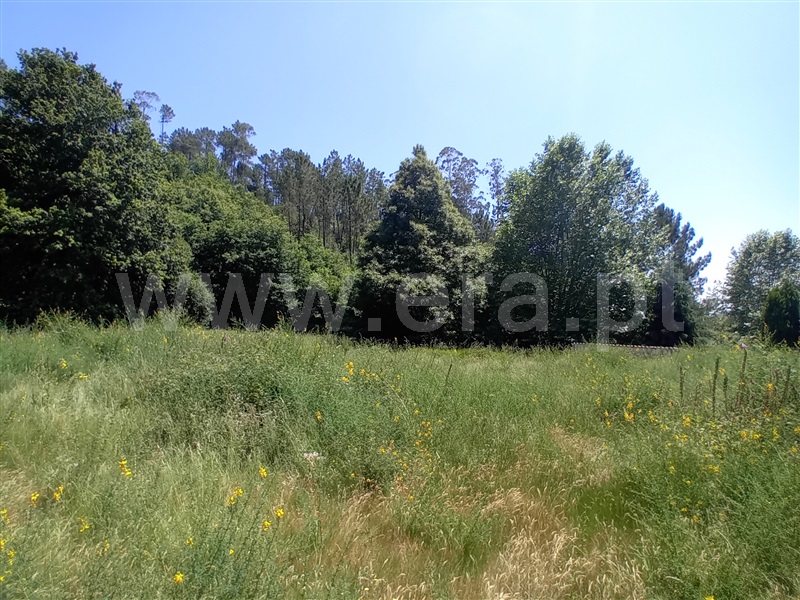 Terreno para Construção  Paredes de Coura, Cossourado e Linhares - 1474085 - 5