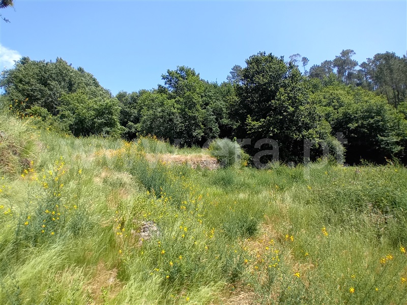Terreno para Construção  Paredes de Coura, Cossourado e Linhares - 1474085 - 6