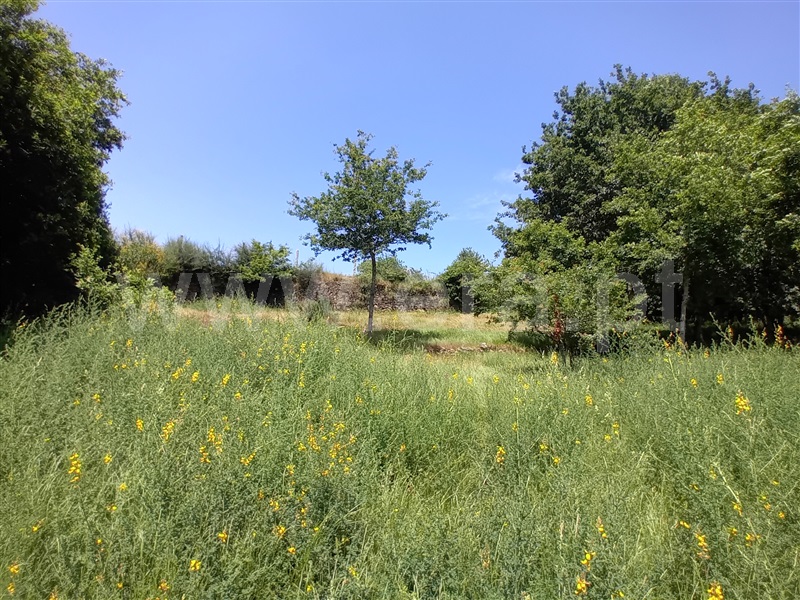 Terreno para Construção  Paredes de Coura, Cossourado e Linhares - 1474085 - 7