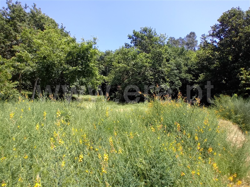 Terreno para Construção  Paredes de Coura, Cossourado e Linhares - 1474085 - 8