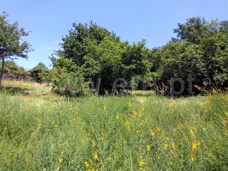 Terreno para Construção  Paredes de Coura, Cossourado e Linhares - 1474085 - 9