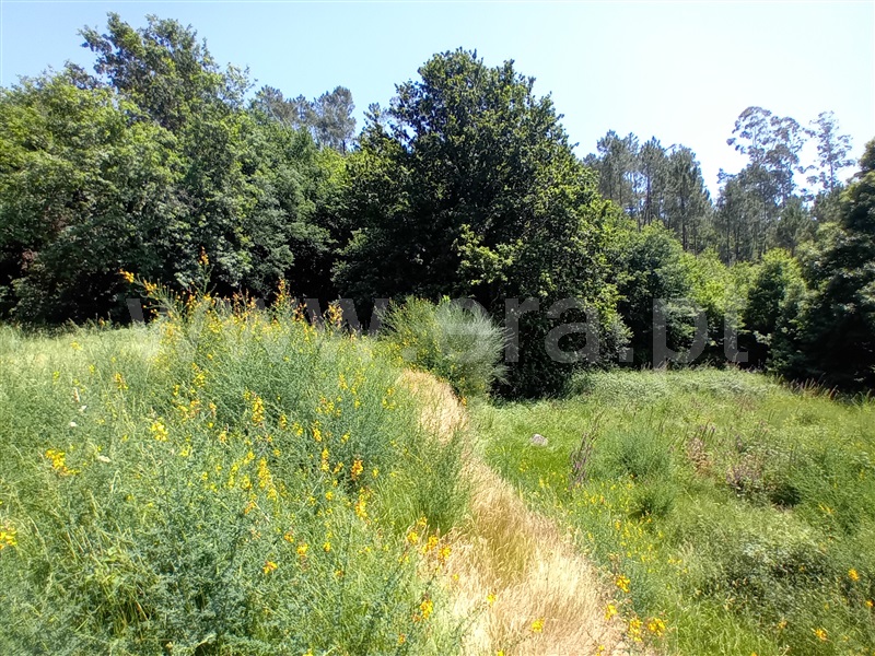 Terreno para Construção  Paredes de Coura, Cossourado e Linhares - 1474085 - 10