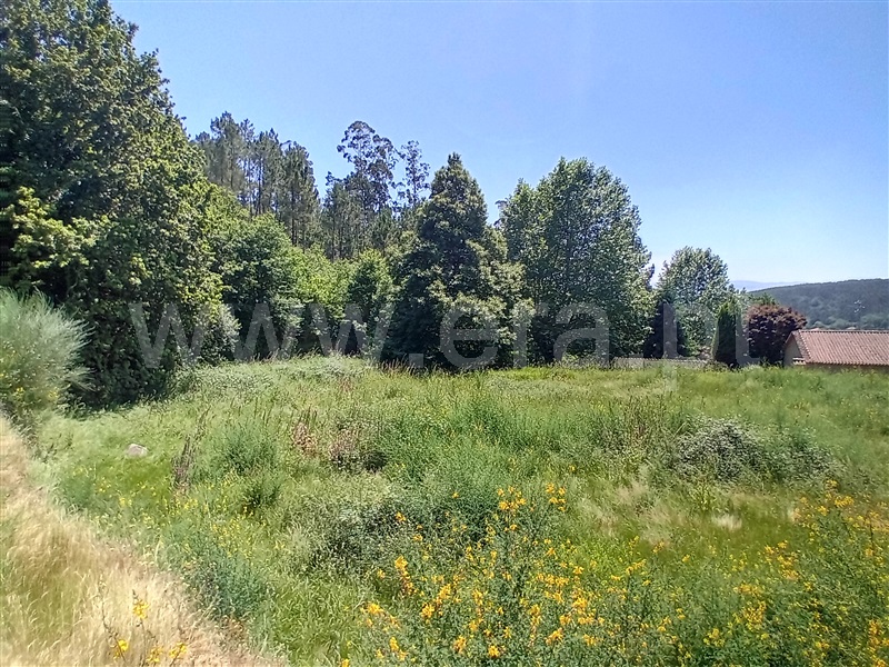 Terreno para Construção  Paredes de Coura, Cossourado e Linhares - 1474085 - 11