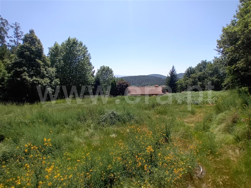 Terreno para Construção  Paredes de Coura, Cossourado e Linhares - 1474085 - 12