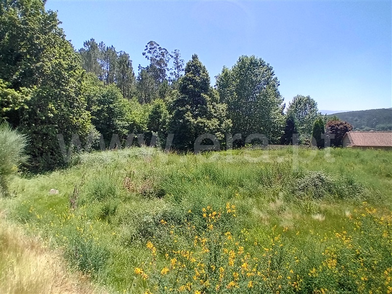 Terreno para Construção  Paredes de Coura, Cossourado e Linhares - 1474085 - 13