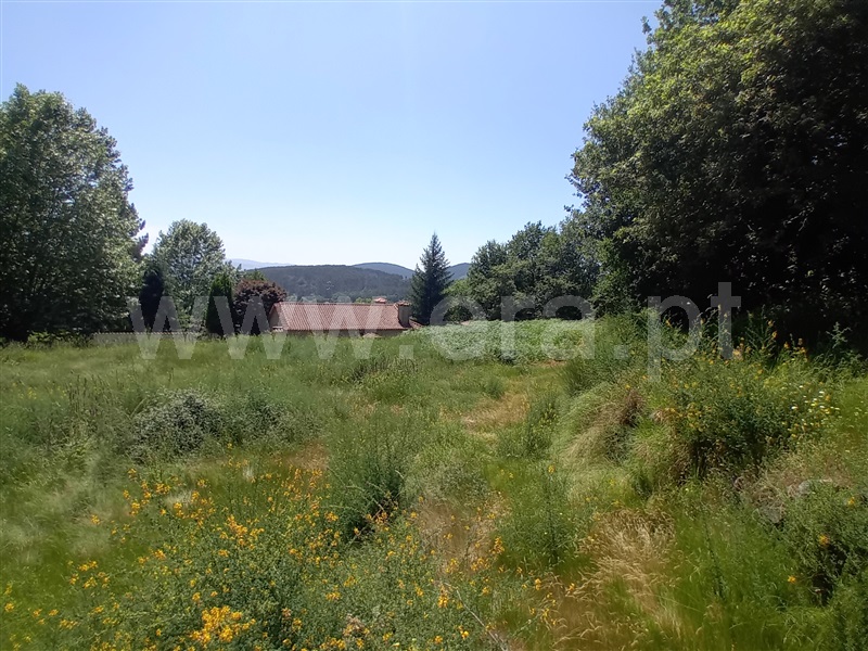 Terreno para Construção  Paredes de Coura, Cossourado e Linhares - 1474085 - 14
