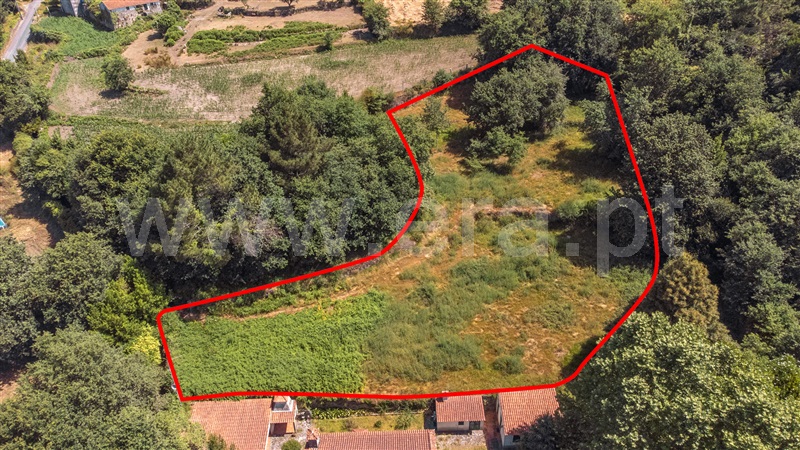 Terreno para Construção / Paredes de Coura, Cossourado e Linhares