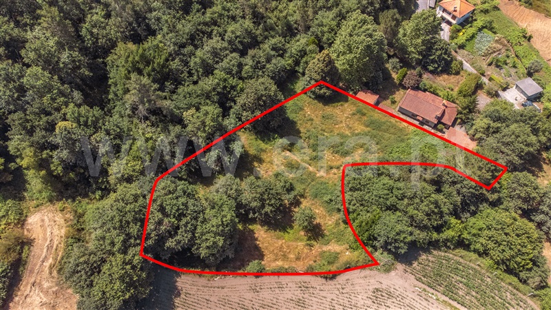Terreno para Construção  Paredes de Coura, Cossourado e Linhares - 1474085 - 21