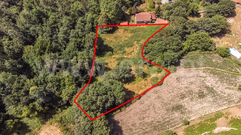 Terreno para Construção  Paredes de Coura, Cossourado e Linhares - 1474085 - 22