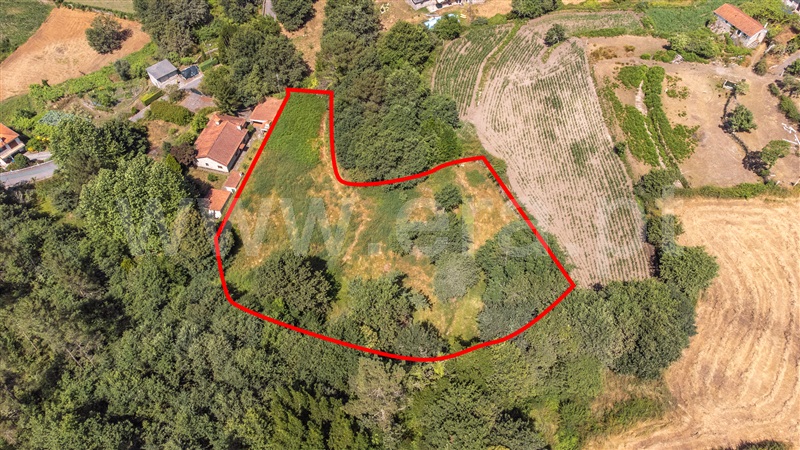 Terreno para Construção  Paredes de Coura, Cossourado e Linhares - 1474085 - 23