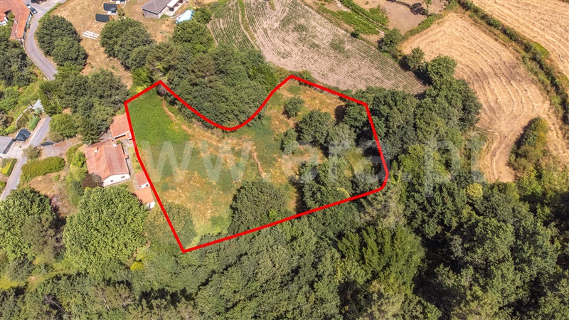 Terreno para Construção  Paredes de Coura, Cossourado e Linhares - 1474085 - 24