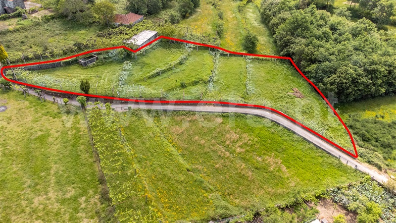 Terreno para Construção / Paredes de Coura, Coura