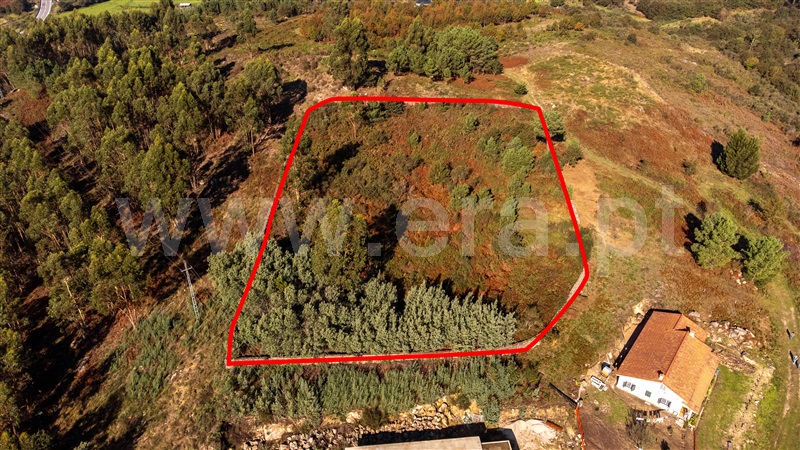 Terreno para Construção  Paredes de Coura, Formariz e Ferreira - 1439733 - 3