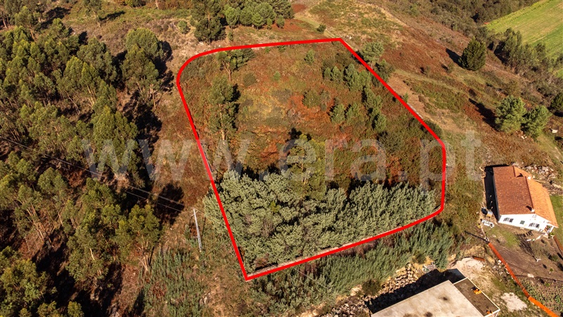 Terreno para Construção  Paredes de Coura, Formariz e Ferreira - 1439733 - 4