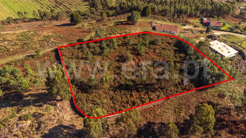 Terreno para Construção  Paredes de Coura, Formariz e Ferreira - 1439733 - 6