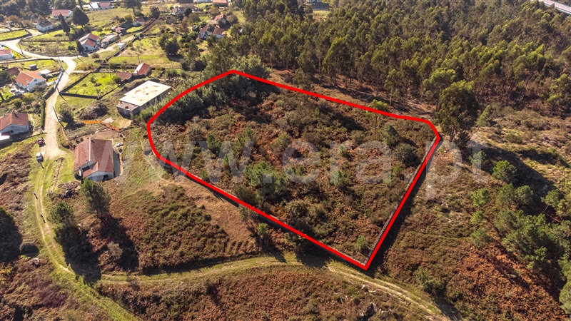 Terreno para Construção / Paredes de Coura, Formariz e Ferreira