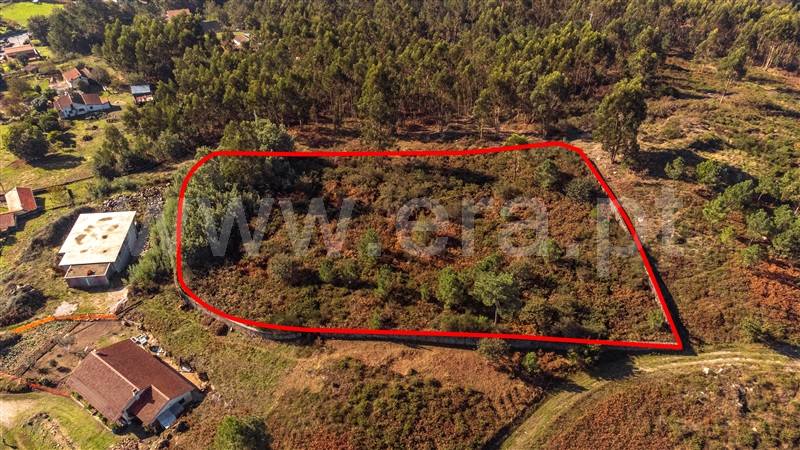 Terreno para Construção  Paredes de Coura, Formariz e Ferreira - 1439733 - 10