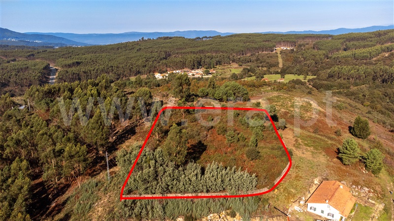 Terreno para Construção  Paredes de Coura, Formariz e Ferreira - 1439733 - 12