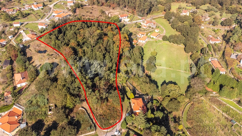 Terreno para Construção  Paredes de Coura, Formariz e Ferreira - 1439734 - 8