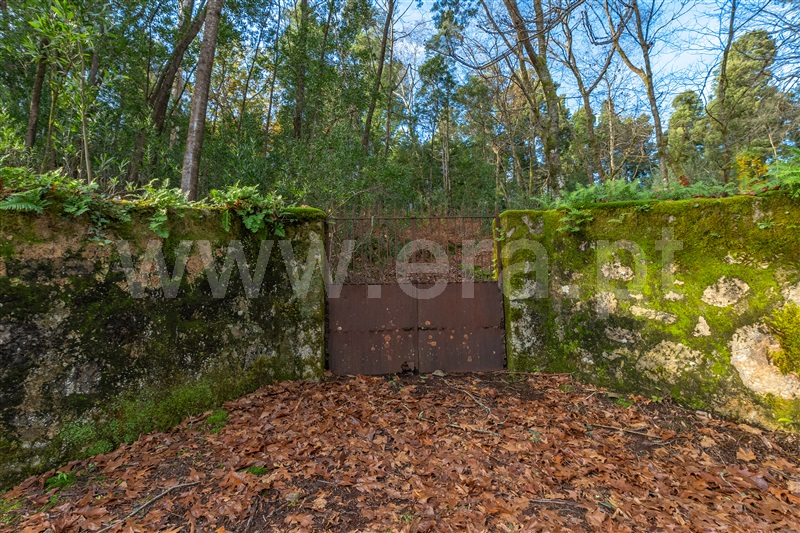 Terreno para Construção  Paredes de Coura, Formariz e Ferreira - 1439734 - 16