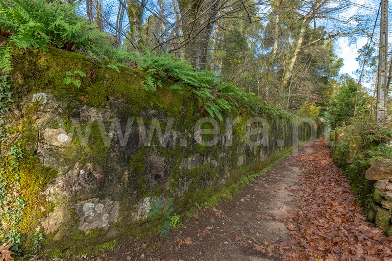 Terreno para Construção  Paredes de Coura, Formariz e Ferreira - 1439734 - 17