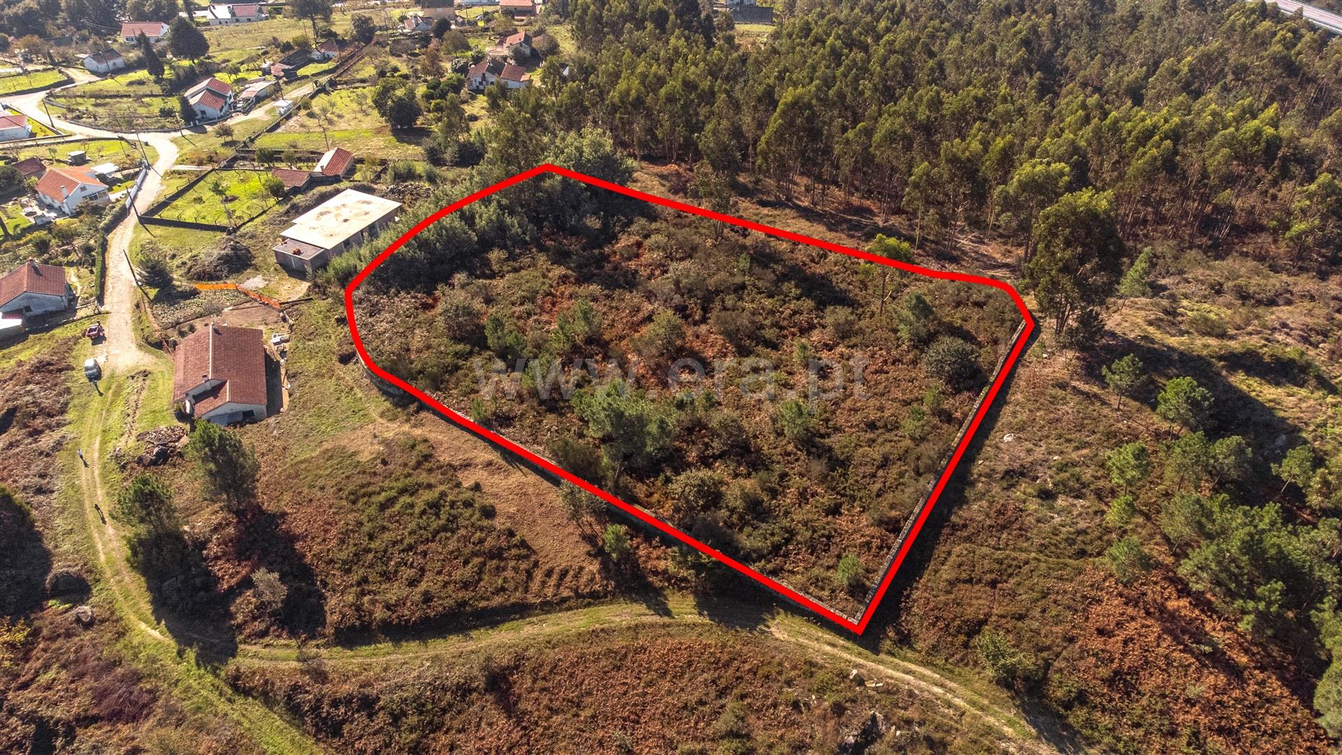Terreno em Paredes de Coura