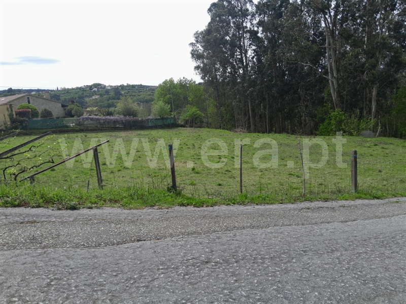 Terreno para Construção  Paredes de Coura, Infesta - 1395229 - 5