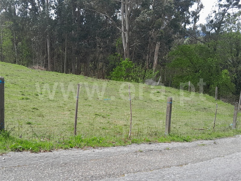 Terreno para Construção  Paredes de Coura, Infesta - 1395229 - 6