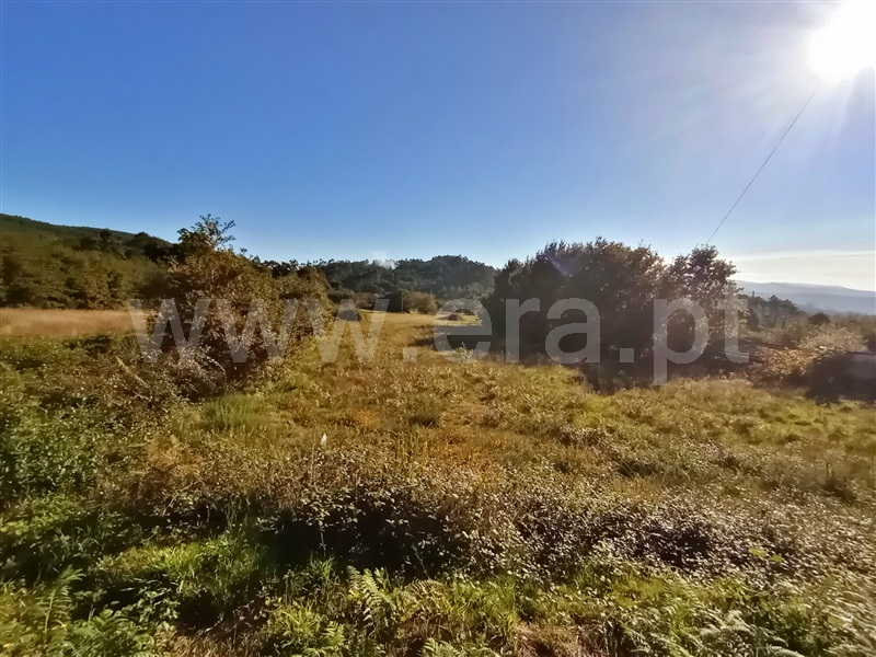 Terreno para Construção  Paredes de Coura, Rubiães - 1196911 - 4