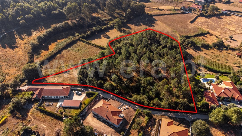 Terreno para Construção  Paredes de Coura, Rubiães - 1428362 - 3