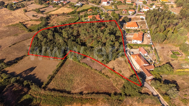 Terreno para Construção / Paredes de Coura, Rubiães