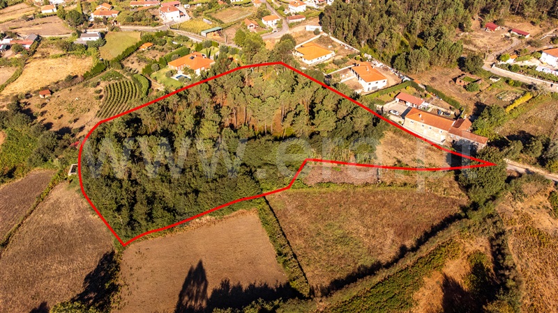 Terreno para Construção  Paredes de Coura, Rubiães - 1428362 - 6