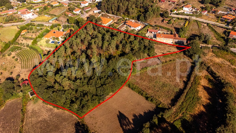 Terreno para Construção  Paredes de Coura, Rubiães - 1428362 - 7