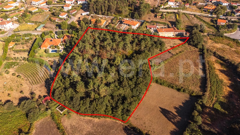 Terreno para Construção  Paredes de Coura, Rubiães - 1428362 - 8