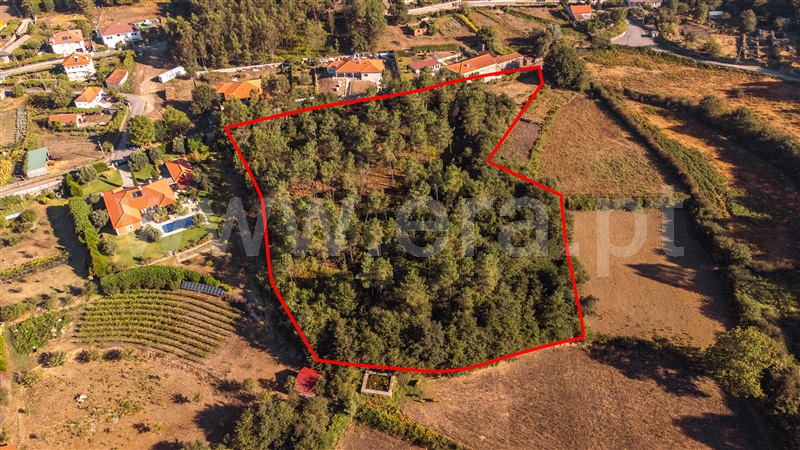 Terreno para Construção  Paredes de Coura, Rubiães - 1428362 - 9